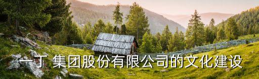  一丁 集團(tuán)股份有限公司的文化建設(shè)