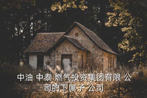 中油中泰燃氣有限責(zé)任公司,中油南充燃氣有限責(zé)任公司客服電話