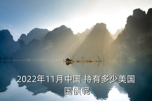 2022年11月中國 持有多少美國 國債呢