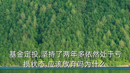  基金定投,堅持了兩年多依然處于虧損狀態(tài),應該放棄嗎為什么