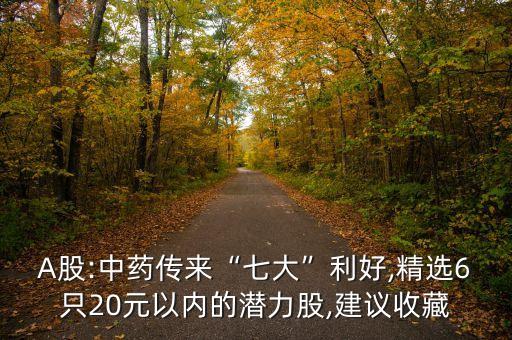 中國中醫(yī)藥投資集團股份有限公司