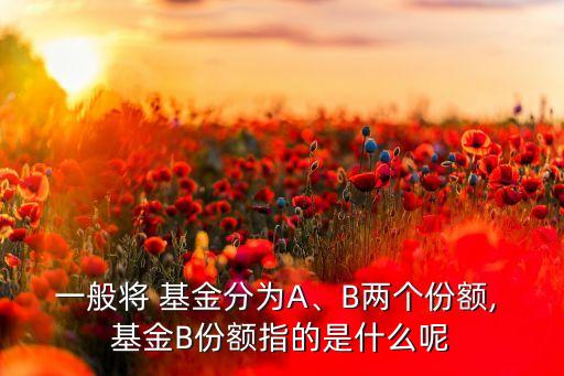 一般將 基金分為A、B兩個份額, 基金B(yǎng)份額指的是什么呢