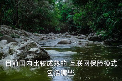 目前國內(nèi)比較成熟的 互聯(lián)網(wǎng)保險(xiǎn)模式包括哪些