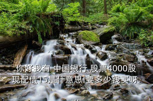 你好我有 中國(guó)銀行 股票4000股現(xiàn)配債15是什意思!要多少錢(qián)買(mǎi)呀...