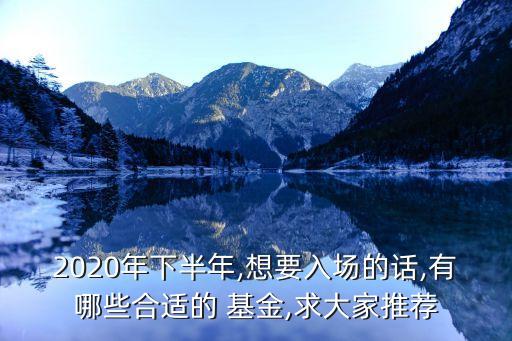 2020年下半年,想要入場(chǎng)的話,有哪些合適的 基金,求大家推薦