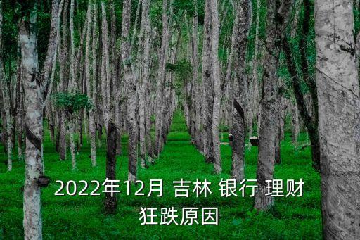 2022年12月 吉林 銀行 理財(cái)狂跌原因