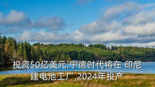 投資50億美元,寧德時代將在 印尼建電池工廠,2024年投產