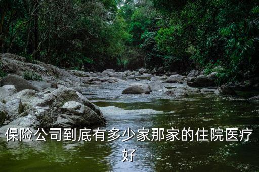 保險(xiǎn)公司到底有多少家那家的住院醫(yī)療好