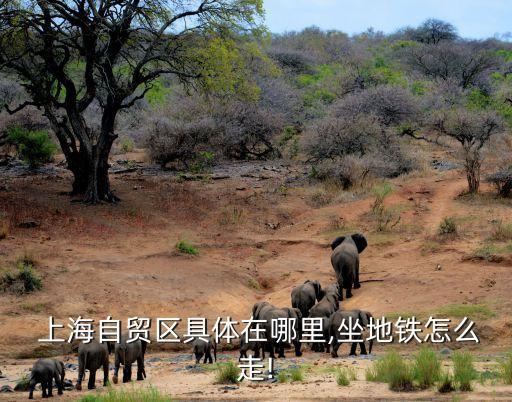  上海自貿(mào)區(qū)具體在哪里,坐地鐵怎么走!