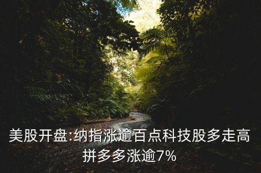 美股開盤:納指漲逾百點(diǎn)科技股多走高拼多多漲逾7%