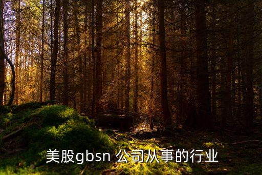 美股知名公司介紹,美股STG公司介紹