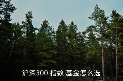 滬深300 指數(shù) 基金怎么選