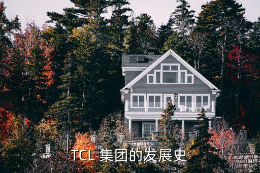 tcl集團(tuán)印度公司,印度TCL公司