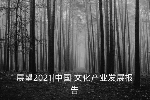 展望2021|中國 文化產(chǎn)業(yè)發(fā)展報(bào)告