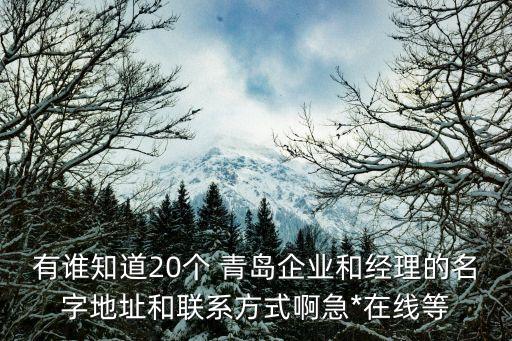 有誰(shuí)知道20個(gè) 青島企業(yè)和經(jīng)理的名字地址和聯(lián)系方式啊急*在線等