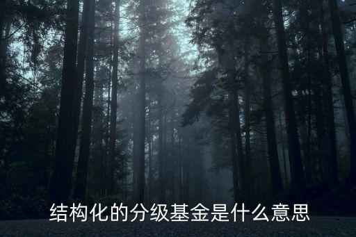  結構化的分級基金是什么意思