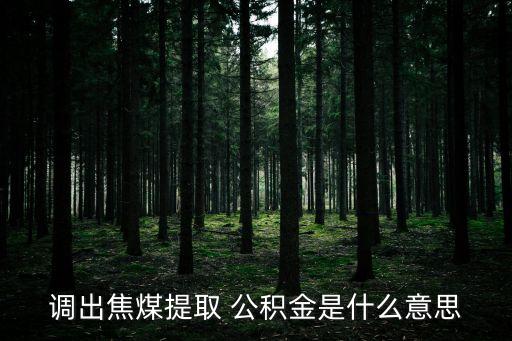 沈煤集團(tuán)公積金,義煤集團(tuán)公積金提取需要什么材料