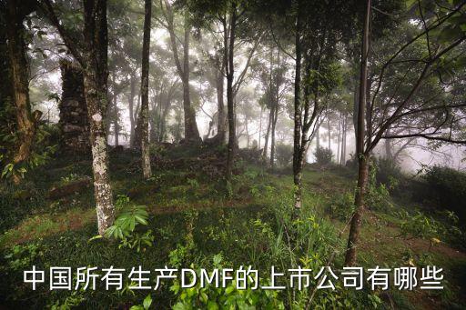 中國(guó)所有生產(chǎn)DMF的上市公司有哪些