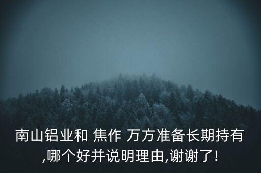 南山鋁業(yè)和 焦作 萬方準(zhǔn)備長期持有,哪個(gè)好并說明理由,謝謝了!