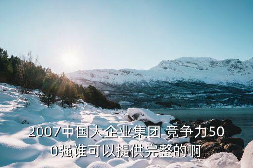 2007中國大企業(yè)集團 競爭力500強誰可以提供完整的啊