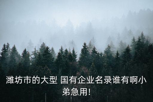 濰坊市的大型 國(guó)有企業(yè)名錄誰(shuí)有啊小弟急用!