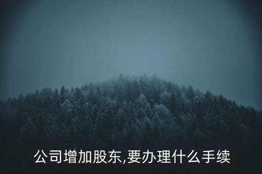  公司增加股東,要辦理什么手續(xù)