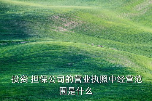  投資 擔保公司的營業(yè)執(zhí)照中經營范圍是什么