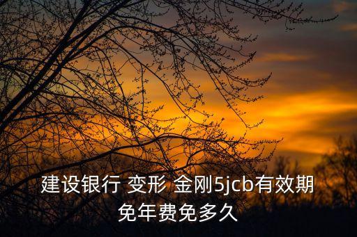 建設銀行 變形 金剛5jcb有效期免年費免多久