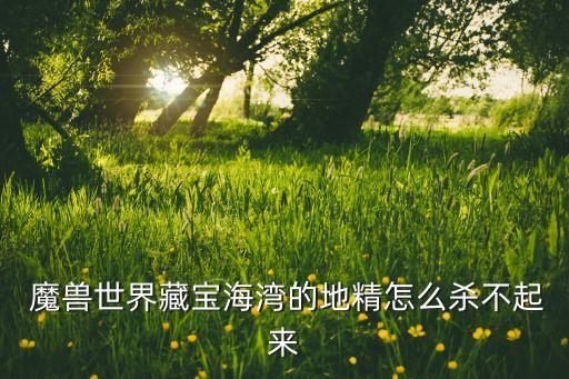 魔獸風(fēng)險投資