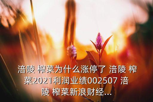  涪陵 榨菜為什么漲停了 涪陵 榨菜2021利潤業(yè)績002507 涪陵 榨菜新浪財經(jīng)...