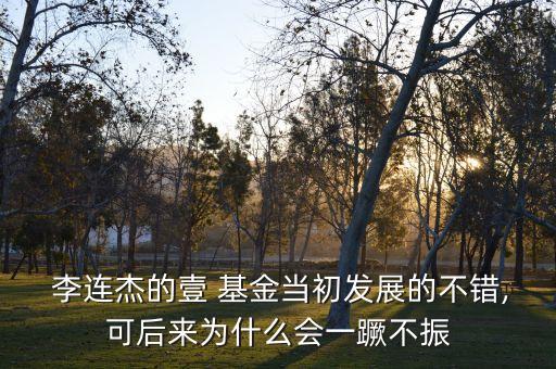  李連杰的壹 基金當(dāng)初發(fā)展的不錯,可后來為什么會一蹶不振