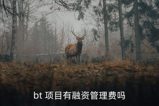 bt 項目有融資管理費嗎