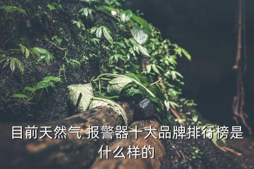 目前天然氣 報(bào)警器十大品牌排行榜是什么樣的