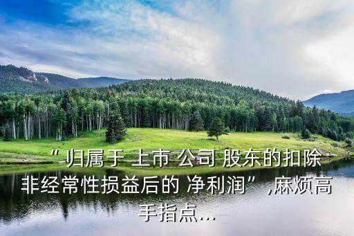 “ 歸屬于 上市 公司 股東的扣除非經(jīng)常性損益后的 凈利潤”,麻煩高手指點...