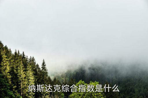 納斯達(dá)克綜合指數(shù)是什么