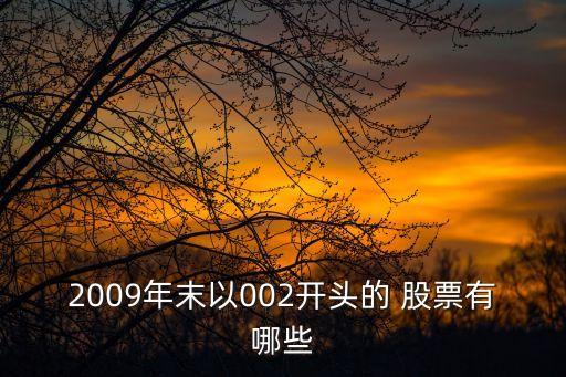 2009年末以002開頭的 股票有哪些