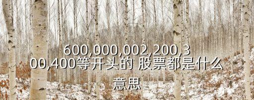 600,000,002,200,300,400等開(kāi)頭的 股票都是什么意思