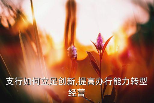 支行如何立足創(chuàng)新,提高辦行能力轉(zhuǎn)型經(jīng)營