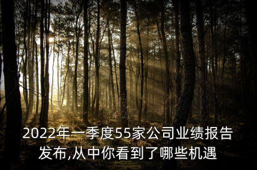 2022年一季度55家公司業(yè)績報告發(fā)布,從中你看到了哪些機遇