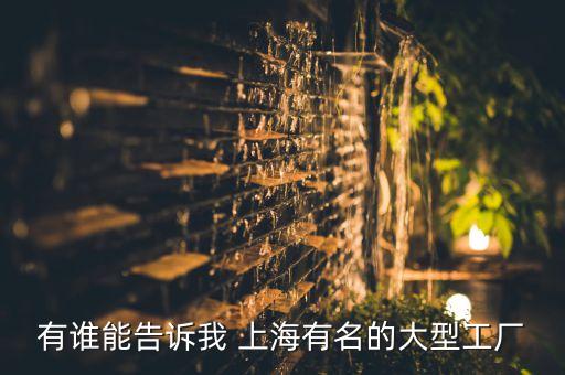 有誰(shuí)能告訴我 上海有名的大型工廠(chǎng)