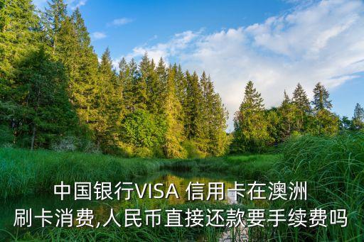 中國銀行visa信用卡境外刷卡,visa信用卡中國銀行境外消費怎么還款