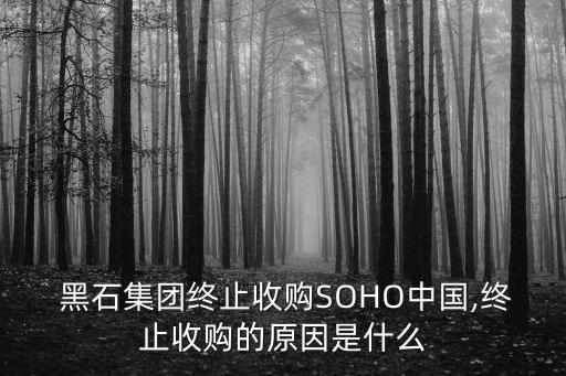  黑石集團終止收購SOHO中國,終止收購的原因是什么