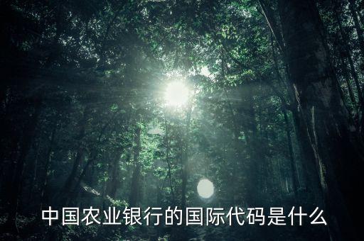  中國農(nóng)業(yè)銀行的國際代碼是什么