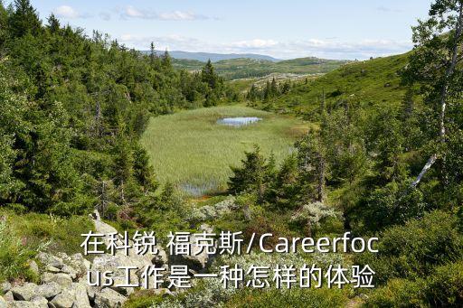 在科銳 ?？怂?Careerfocus工作是一種怎樣的體驗(yàn)