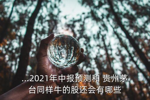 ...2021年中報(bào)預(yù)測和 貴州茅臺同樣牛的股還會有哪些