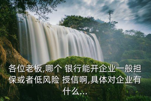 各位老板,哪個 銀行能開企業(yè)一般擔(dān)?；蛘叩惋L(fēng)險 授信啊,具體對企業(yè)有什么...