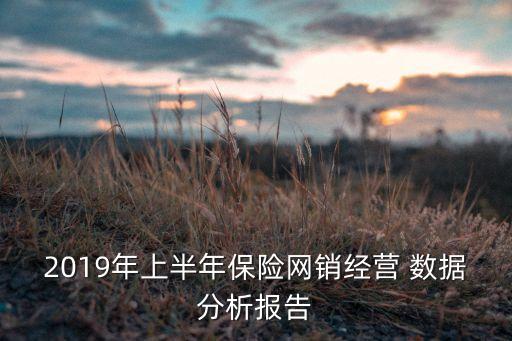 2019年上半年保險(xiǎn)網(wǎng)銷經(jīng)營 數(shù)據(jù)分析報(bào)告