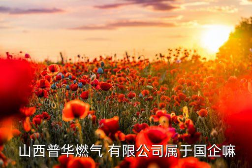 山西壓縮天然氣集團(tuán)晉北有限公司