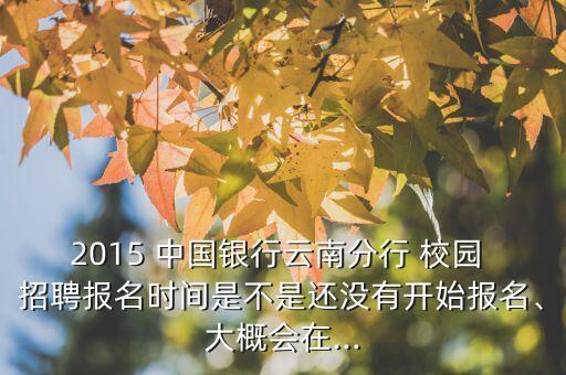 2015 中國銀行云南分行 校園 招聘報(bào)名時(shí)間是不是還沒有開始報(bào)名、大概會(huì)在...