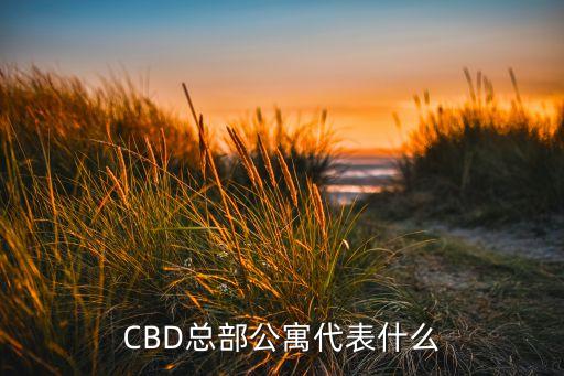 CBD總部公寓代表什么